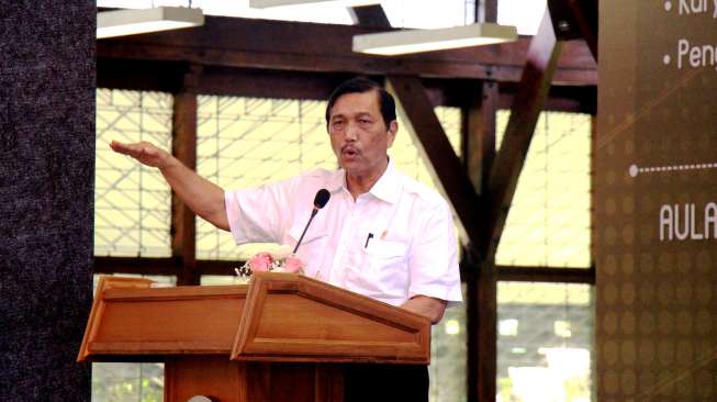 Luhut Ingin BUMN Ambil Alih 51 Persen Saham Freeport