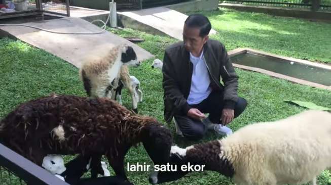 Presiden Jokowi Resmikan Pos Lintas Batas Negara di Sambas