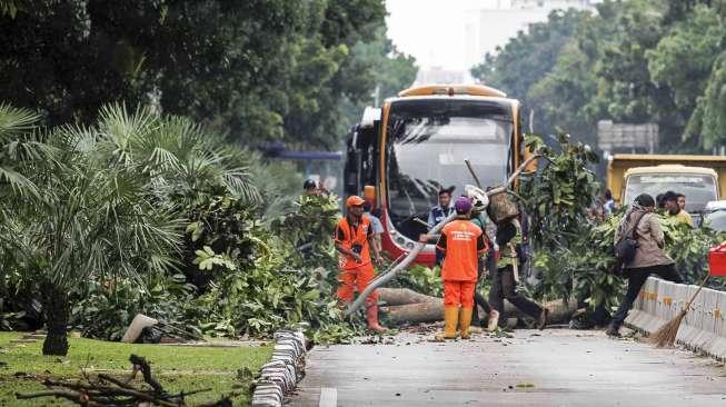 Petugas memotong batang pohon yang tumbang hingga menutupi jalur bus Transjakarta di kawasan jalan Medan Merdeka Barat, Jakarta, Minggu (19/3/2017).