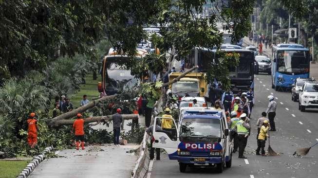 Petugas memotong batang pohon yang tumbang hingga menutupi jalur bus Transjakarta di kawasan jalan Medan Merdeka Barat, Jakarta, Minggu (19/3/2017).