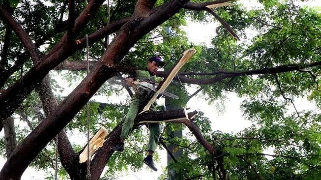 BMKG telah mengeluarkan imbauan terkait prediksi terjadinya angin kencang.