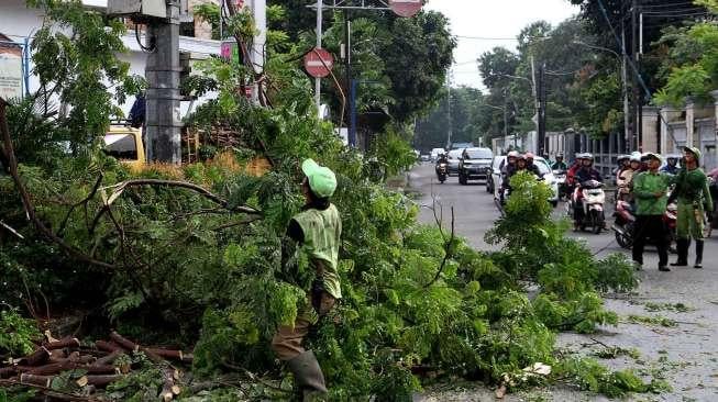 Pekerja Dinas Pertanaman dan Pemakaman DKI Jakarta melakukan penebangan pohon dikawasan Menteng, Jakarta, Rabu (22/3).