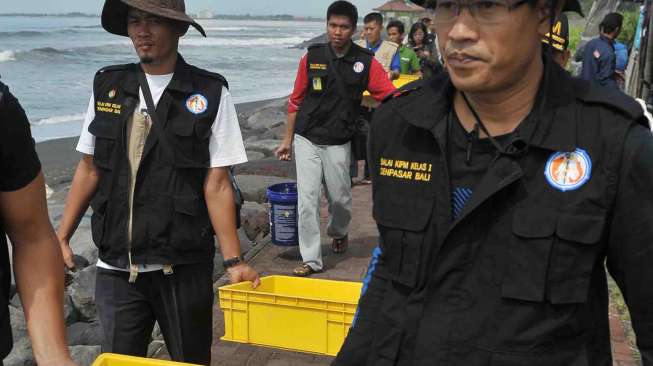 Petugas Balai Karantina Ikan Pengendalian Mutu Denpasar, membawa wadah berisi benih lobster mutiara hasil sitaan, saat pelepasliaran di Pantai Ketewel, Gianyar, Sabtu (1/4).