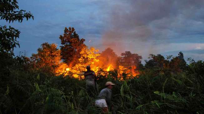Petugas pemadam kebakaran dibantu Masyarakat Peduli Api (MPA) berusaha memadamkan api saat kebakaran lahan gambut di Pekanbaru, Riau, Senin (3/4).