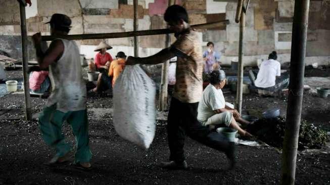 Suasana di lokasi produksi kerang hijau di kawasan Cilincing, Jakarta, Rabu (5/4/2017). [Suara.com/Oke Atmaja]