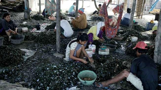 Suasana tempat produksi kerang hijau di kawasan Cilincing, Jakarta, Rabu (5/4/2017). [Suara.com/Oke Atmaja]