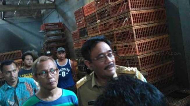 Djarot Janji Modernisasi Rumah Potong Ayam Kampung Pluis