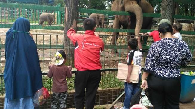 Libur Panjang, Pengunjung Serbu Ragunan