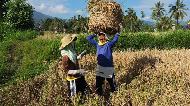 Hari Perempuan Internasional: ISEA Luncurkan Panduan Pemberdayaan Perempuan di Bidang Pertanian untuk Pemulihan Covid-19