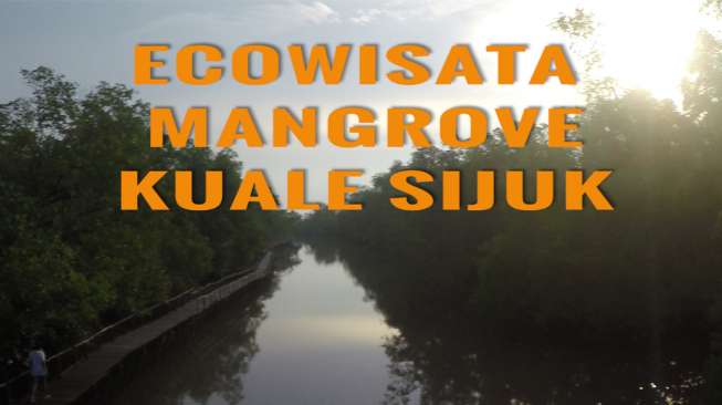 Hutan Mangrove Kuale, Destinasi Wajib buat Traveler!