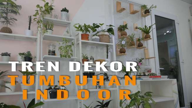 Kokedama & Terrarium, Gaya Hidup Bercocok Tanam Kaum Urban!