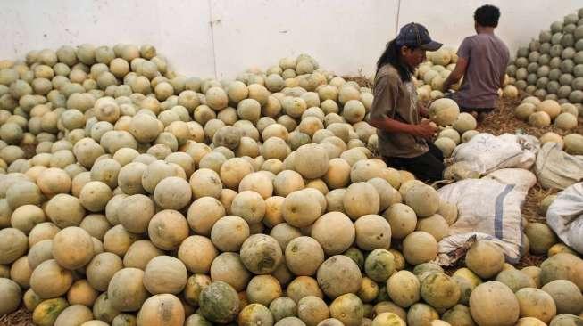 Pedagang buah di Pasar Induk Kramat Jati, Jakarta, Selasa (16/5)