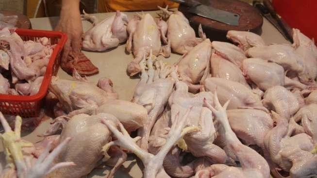 Krisis, Harga Seekor Ayam di Venezuela Setara Rp 900 Ribu