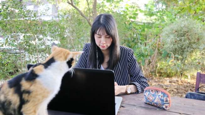 Perusahaan di Jepang pelihara kucing (Shutterstock)
