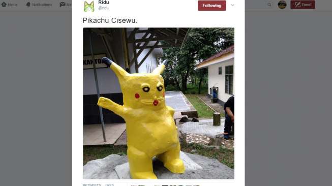 Setelah Heboh Macan Cisewu, Kini Muncul Pikachu Cisewu