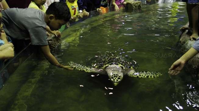 Pengunjung memadati area Seaworld, di Taman Impian Jaya Ancol, Jakarta, Rabu (28/6). [Suara.com/Oke Atmaja]