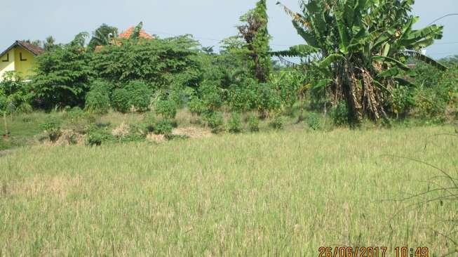 LSM Diminta Berperan Bangun Pedesaan dan Kawasan Pesisir