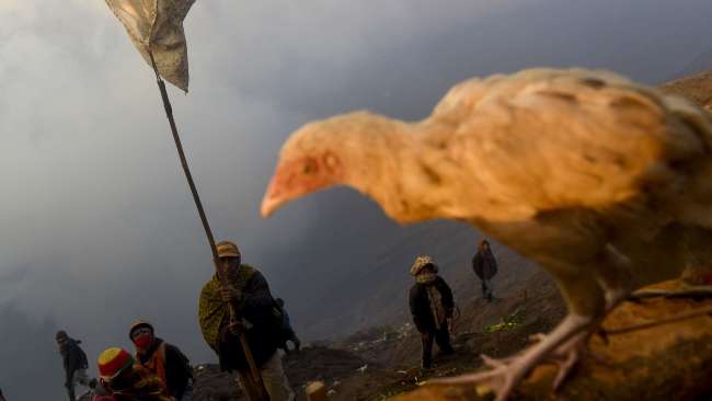 Merupakan ritual tahunan masyarakat Suku Tengger.