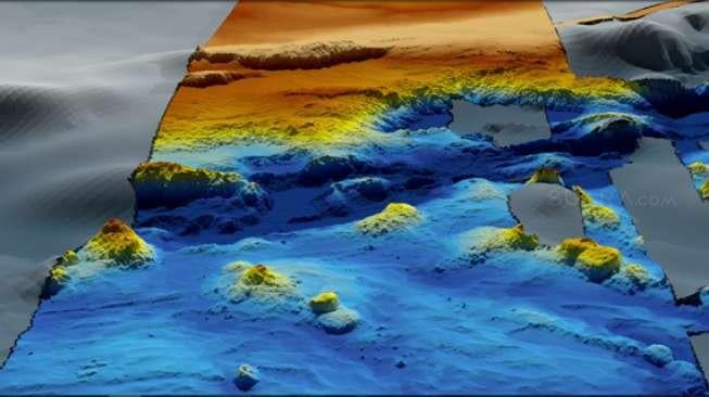 Dunia Bawah Laut Temuan Tim Pencari MH370, Ini Foto dan Videonya