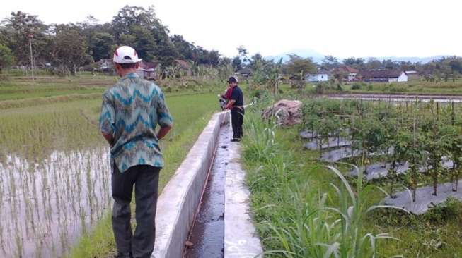 Kementerian PUPR akan Bangun dan Rehabilitasi Irigasi Kecil