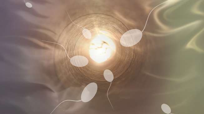 Bisakah Virus Corona Menular Lewat Sperma dan Hubungan Seksual?