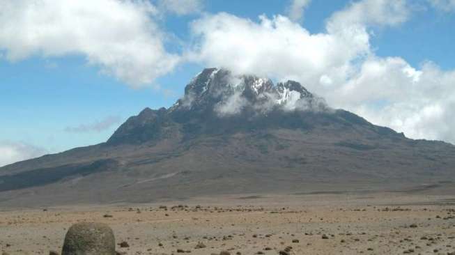 Kumpulan Berita Kilimanjaro Kebakaran Besar Landa Gunung Kilimanjaro Ekosistem Setempat Terancam