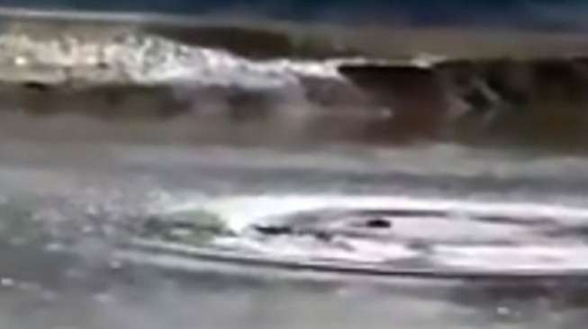 Monster Laut Muncul di Danau Cina?