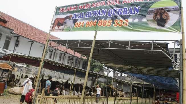 Rupiah Melemah, Penjualan Hewan Kurban Tetap Bergairah Jelang Iduladha 2026