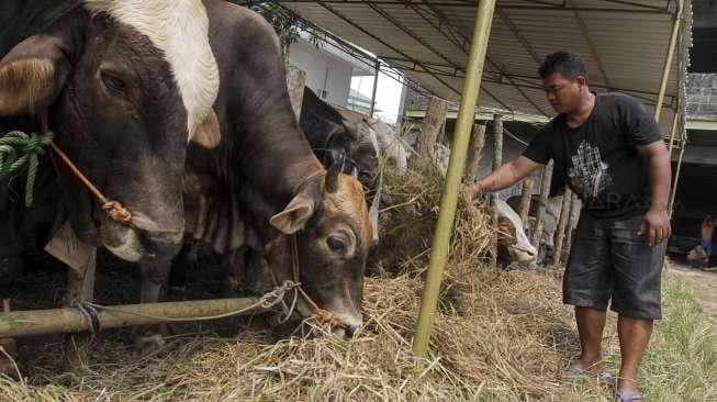 3 Cara Hilangkan Bau Prengus di Baju Usai Potong Hewan Qurban