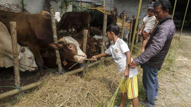 Penjual sapi Qurban di kawasan Matraman, Jakarta, Senin (14/8).