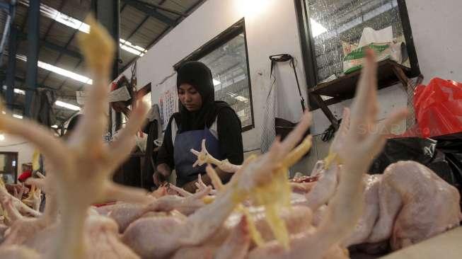 Harga Ayam Potong Melonjak