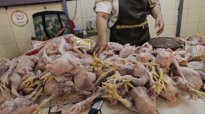 Pedagang ayam potong di Pasar Jambul, Jakarta, Selasa (15/8).