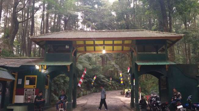 Taman Nasional Gunung Halimun Salak. [Suara.com/Risna Halidi]