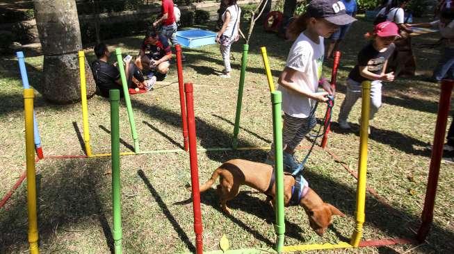 Bersahabat dengan anjing peliharaan (suara.com/Kurniawan Mas'ud)