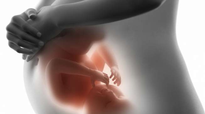 Ilustrasi janin dalam kandungan, ibu hamil. (Shutterstock)