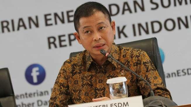 Divestasi 51 Persen Saham Freeport akan Terwujud April 2018