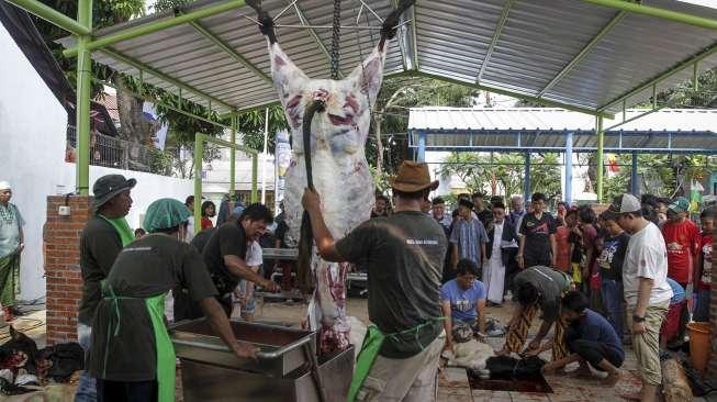 Pemotongan Sapi Kurban di Aceh Dinilai Tidak Manusiawi, Disorot Australia