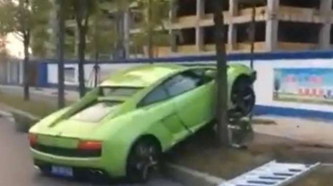 Cari Perhatian, Lamborghini Sewaan Nyangkut di Pohon