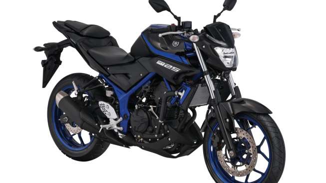 Yamaha MT-25. [Yamaha Indonesia]