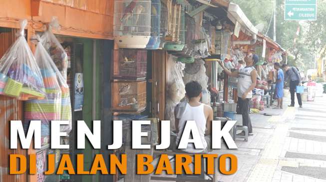 Ini Spot Favorit Pecinta Hewan di Jakarta!