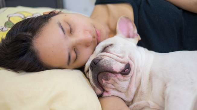 Mau Tidur Lebih Nyenyak? Coba Tidur Bersama Anjing Anda