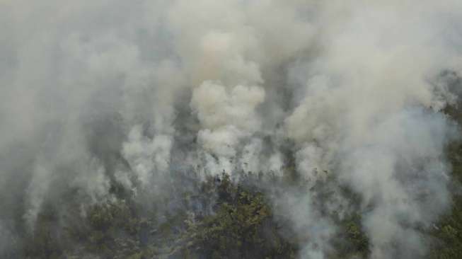 Pemerhati Lingkungan Klaim Jokowi Sukses Turunkan Angka Kebakaran Hutan