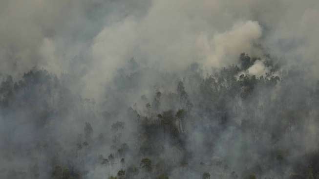 Kebakaran hutan dan lahan di Desa Sungai Rambutan, Indralaya Utara, Ogan Ilir (OI), Sumatera Selatan, Kamis (14/9).