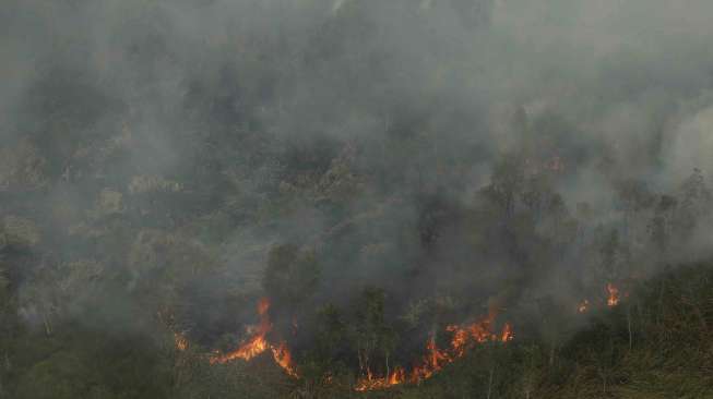 Kebakaran hutan dan lahan di Desa Sungai Rambutan, Indralaya Utara, Ogan Ilir (OI), Sumatera Selatan, Kamis (14/9).