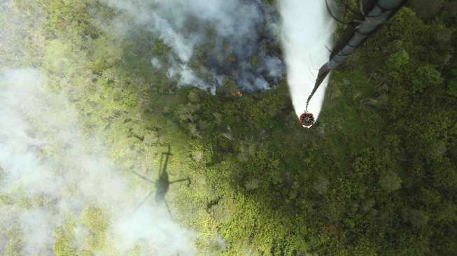 Demi Efek Jera, KLHK Minta Pengadilan Eksekusi Perusak Hutan