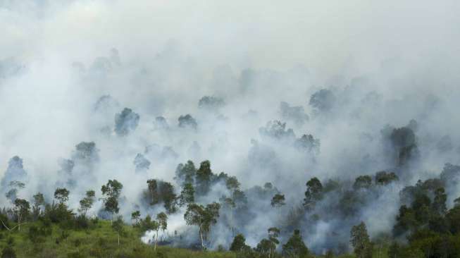 Studi: Manusia Musnahkan 60 Persen Binatang Sejak 1970