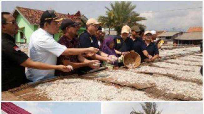 Sejarah Teri Nasi, Sudin: Namanya Teri Medan, Tapi Asalnya dari Lampung