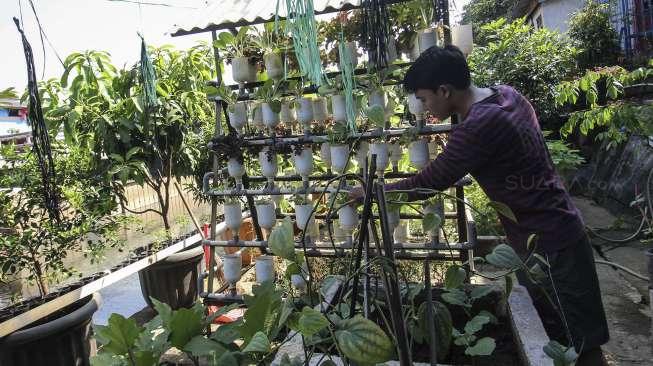 Jakarta Polusi Udara Akut, Urban Farming jawab Krisis Ruang Terbuka Hijau