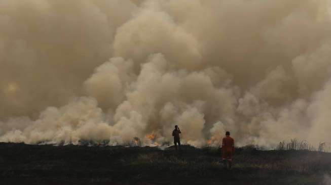 Jelang Asian Games, Ada 45.000 Hektare Lahan Terbakar