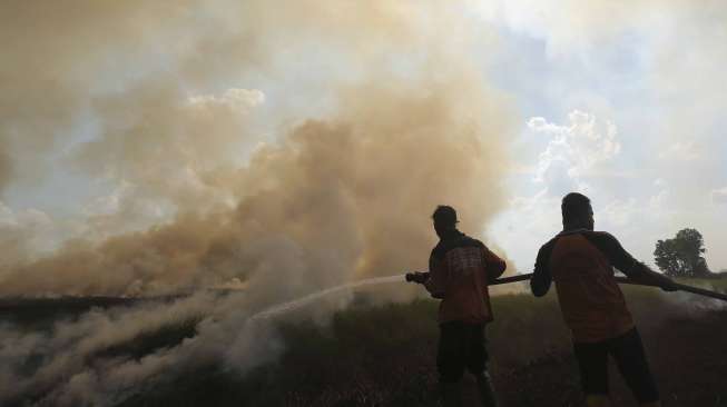 Lahan yang terbakar di Desa Pulau Negara, Pemulutan, Ogan Ilir (OI), Sumatera Selatan, Kamis (21/9).